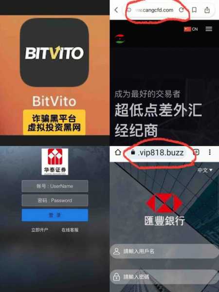 bitvito交易所最新安卓版