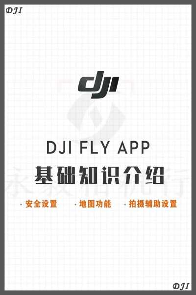 DJI FLY手机版