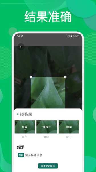 绿萝网app