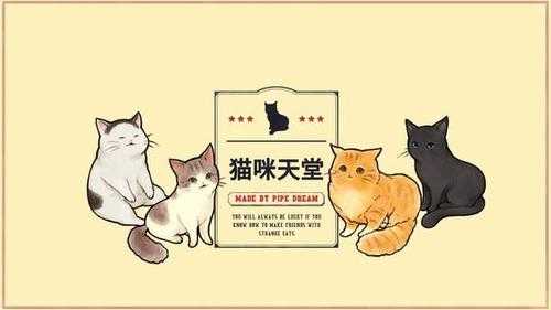 猫咪天堂手机版