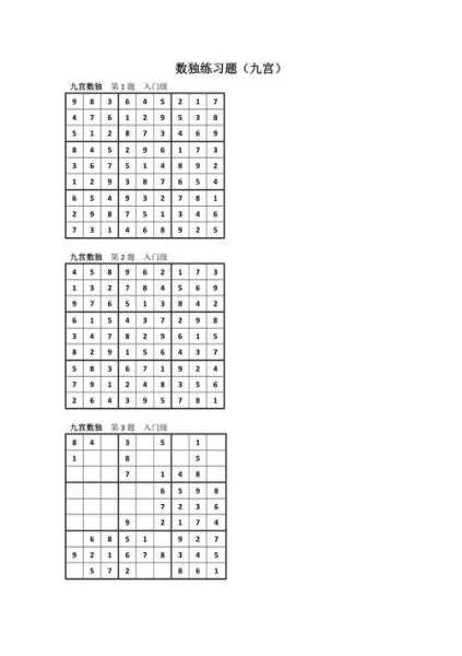 数独谜题挑战