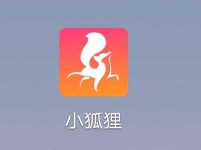 大小狐狸直播app