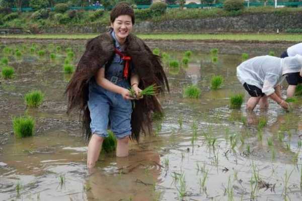 《新征战》芒种时节开服礼包