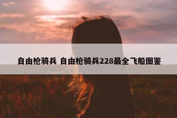 自由枪骑兵 自由枪骑兵228最全飞船图鉴