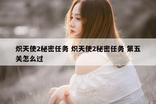 炽天使2秘密任务 炽天使2秘密任务 第五关怎么过