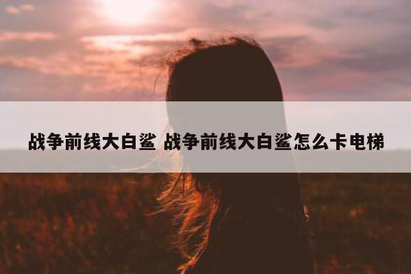 战争前线大白鲨 战争前线大白鲨怎么卡电梯