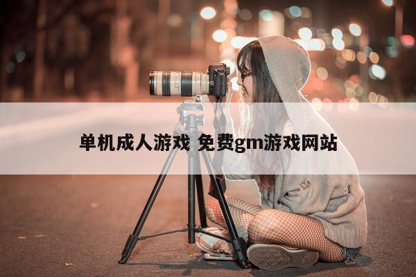 单机成人游戏 免费gm游戏网站