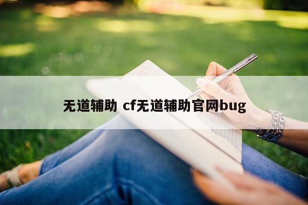 无道辅助 cf无道辅助官网bug