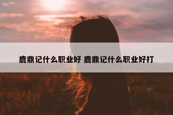 鹿鼎记什么职业好 鹿鼎记什么职业好打