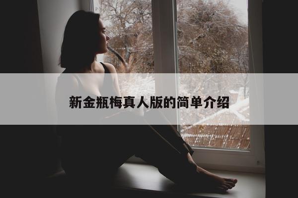 新金瓶梅真人版的简单介绍