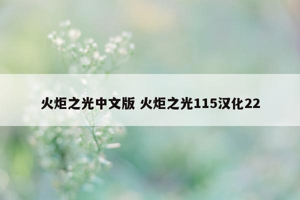 火炬之光中文版 火炬之光115汉化22