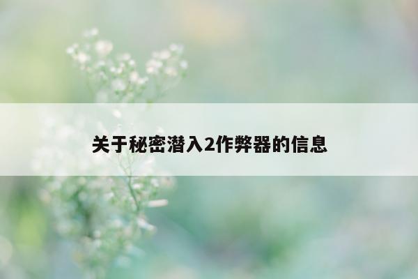 关于秘密潜入2作弊器的信息