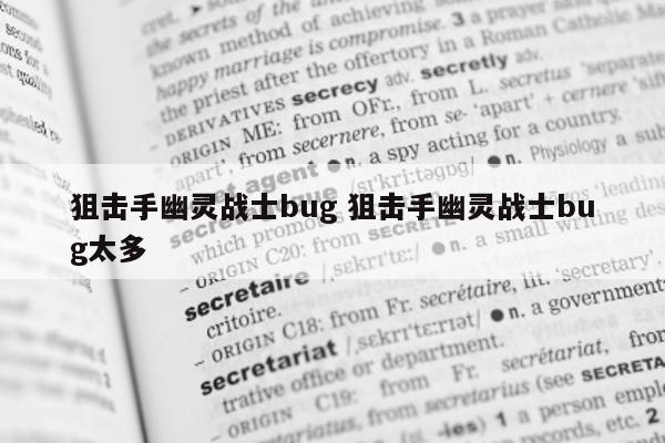 狙击手幽灵战士bug 狙击手幽灵战士bug太多