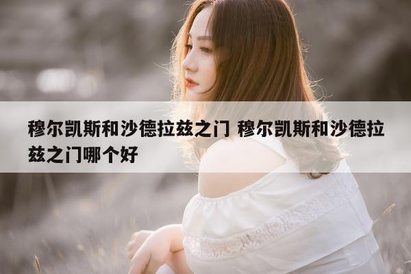 穆尔凯斯和沙德拉兹之门 穆尔凯斯和沙德拉兹之门哪个好