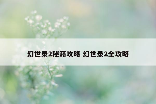 幻世录2秘籍攻略 幻世录2全攻略